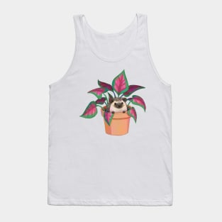 Houseplant Hedgehog Tank Top